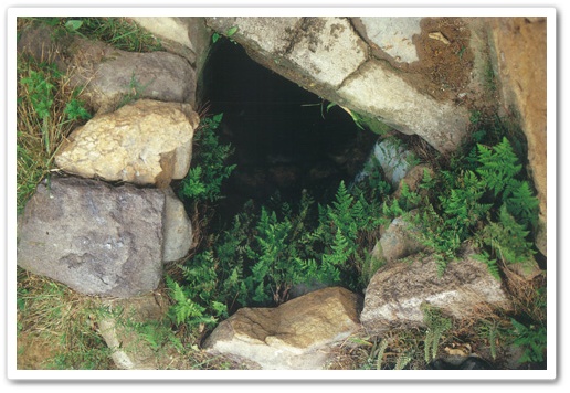 image4_2.jpg