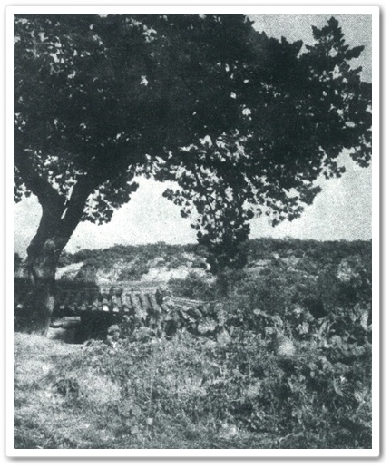 image4_3.jpg